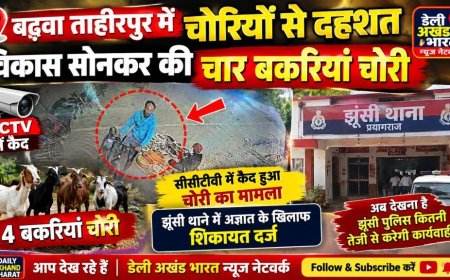 बंधवा ताहिरपुर में चोरियों से दहशत, विकास सोनकर की  चार बकरियां चोरी
