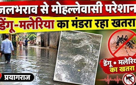 जलभराव से मोहल्लेवासी परेशान, डेंगू-मलेरिया का मंडरा रहा खतरा