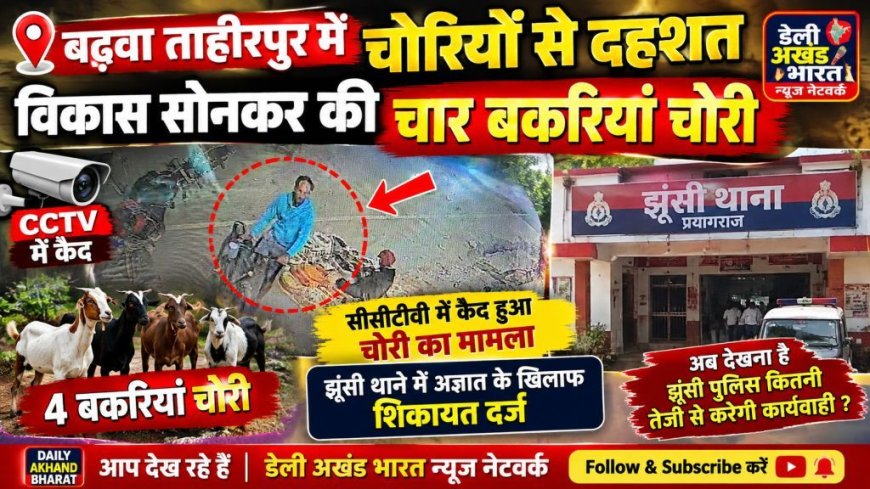 बंधवा ताहिरपुर में चोरियों से दहशत, विकास सोनकर की  चार बकरियां चोरी