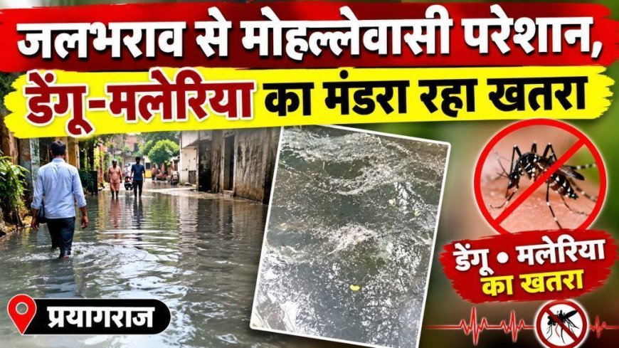 जलभराव से मोहल्लेवासी परेशान, डेंगू-मलेरिया का मंडरा रहा खतरा